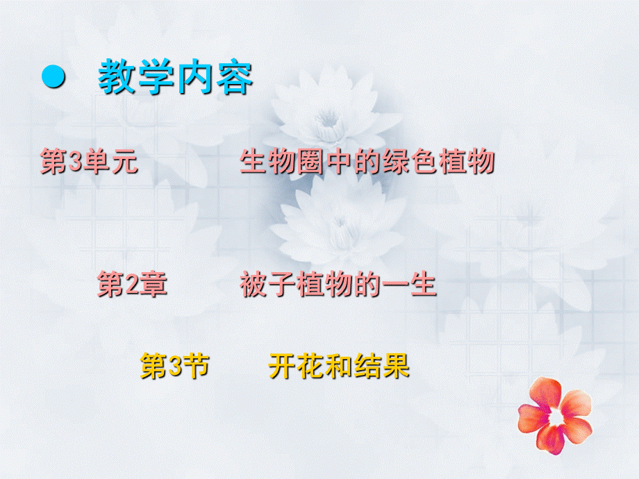 开花和结果正稿.ppt_第2页