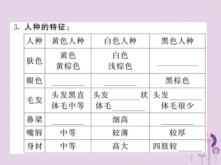 2018年秋七年级地理上册第三章第二节世界的人种习题课件新版湘教版20180927551.ppt_第2页