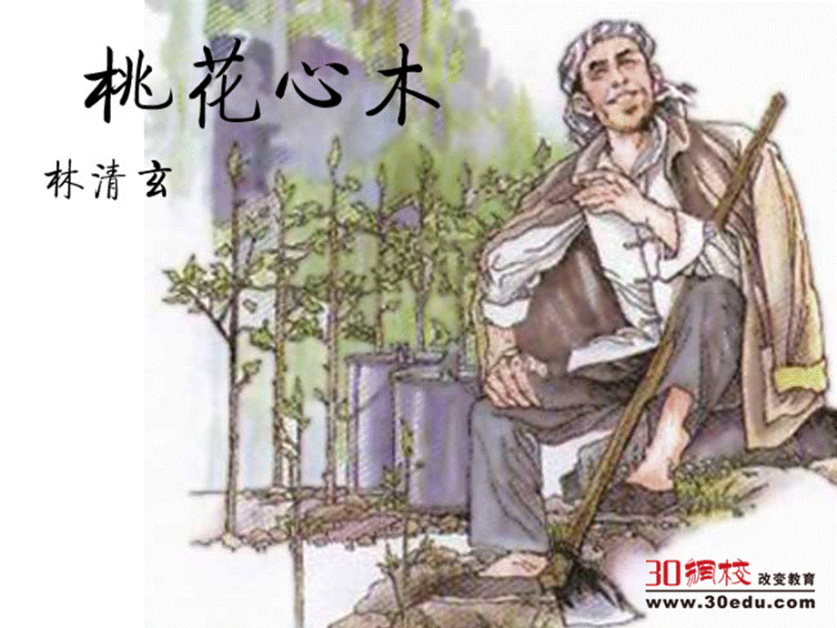 人教版小学语文六年级下册《桃花心木》课件.ppt_第1页