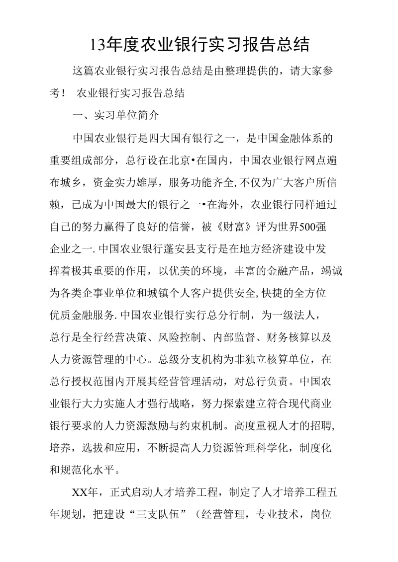 13年度农业银行实习报告总结.doc_第1页