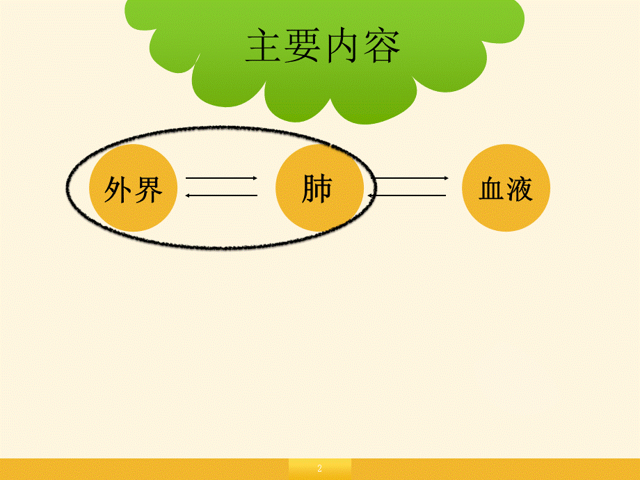 人教版七年级生物下册第四单元第三章第二节发生在肺内的气体交换.pptx_第2页