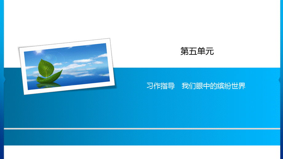 第5单元 习作指导　我们眼中的缤纷世界.ppt_第1页