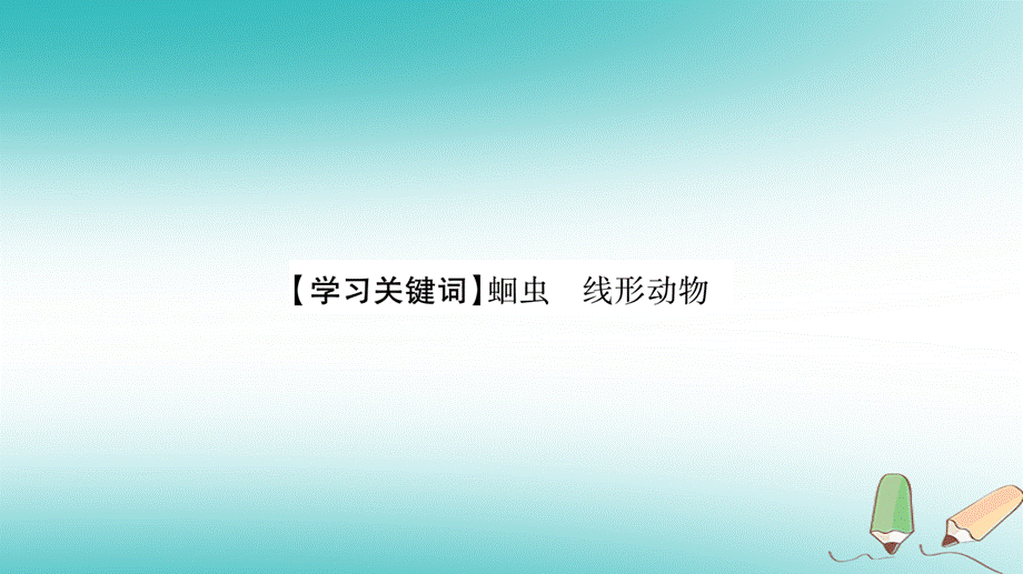 2018秋八年级生物上册第5单元第1章第2节线形动物和环节动物第1课时习题课件新版新人教版20180921431.ppt_第3页