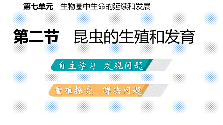 人教版八年级生物下册同步导学课件：第七单元 第一章 第二节 昆虫的生殖和发育.pptx_第2页