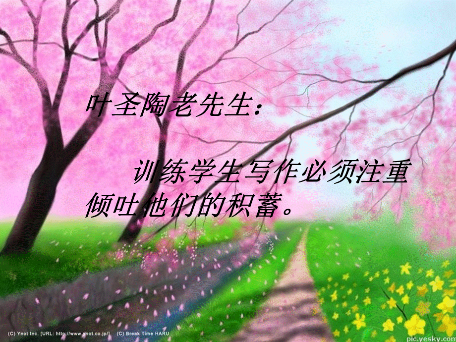 习作指导.ppt_第2页