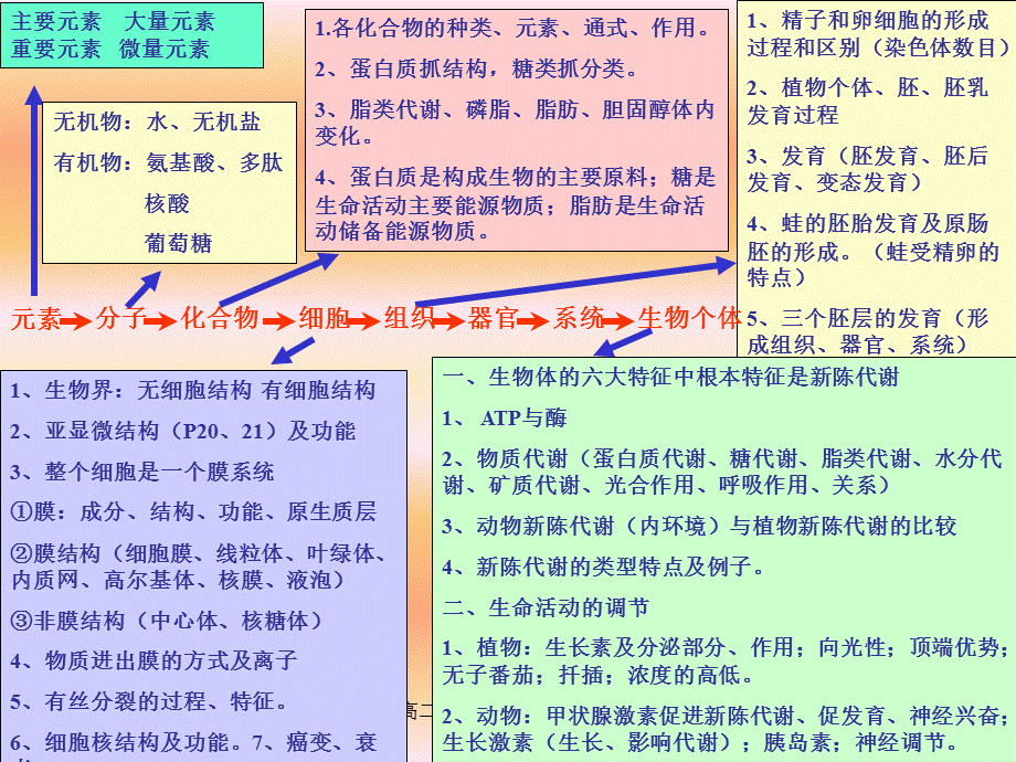 高二生物上学期期末复习课件.ppt_第2页