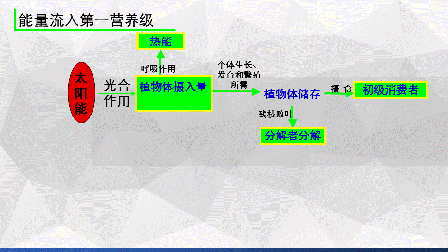 2019届高二必修三生态系统的能量流动和物质循环【李洁雄】(27.ppt).ppt_第3页