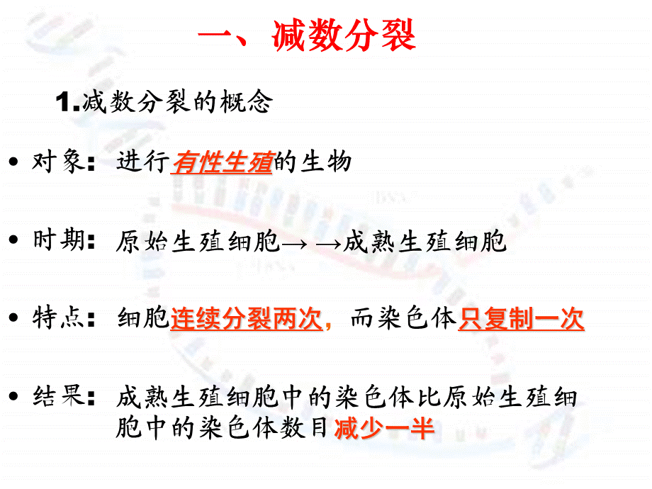 减数分裂 (2).ppt_第3页