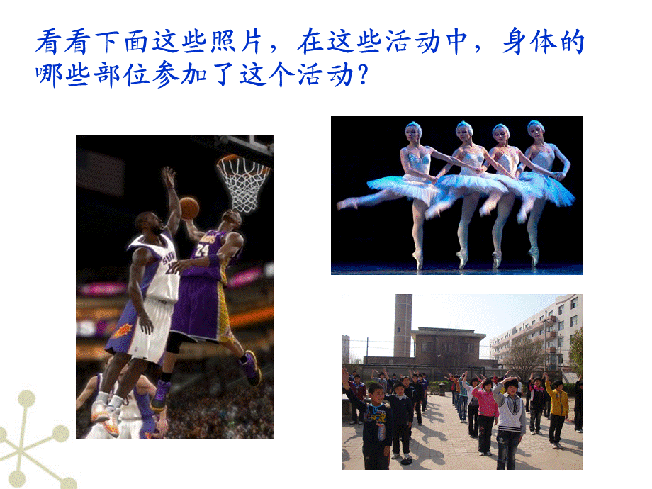 62神经系统的组成课件.ppt_第1页