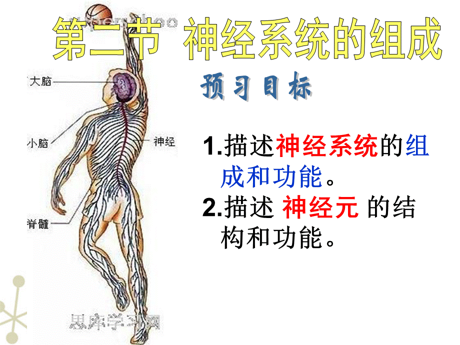 62神经系统的组成课件.ppt_第2页