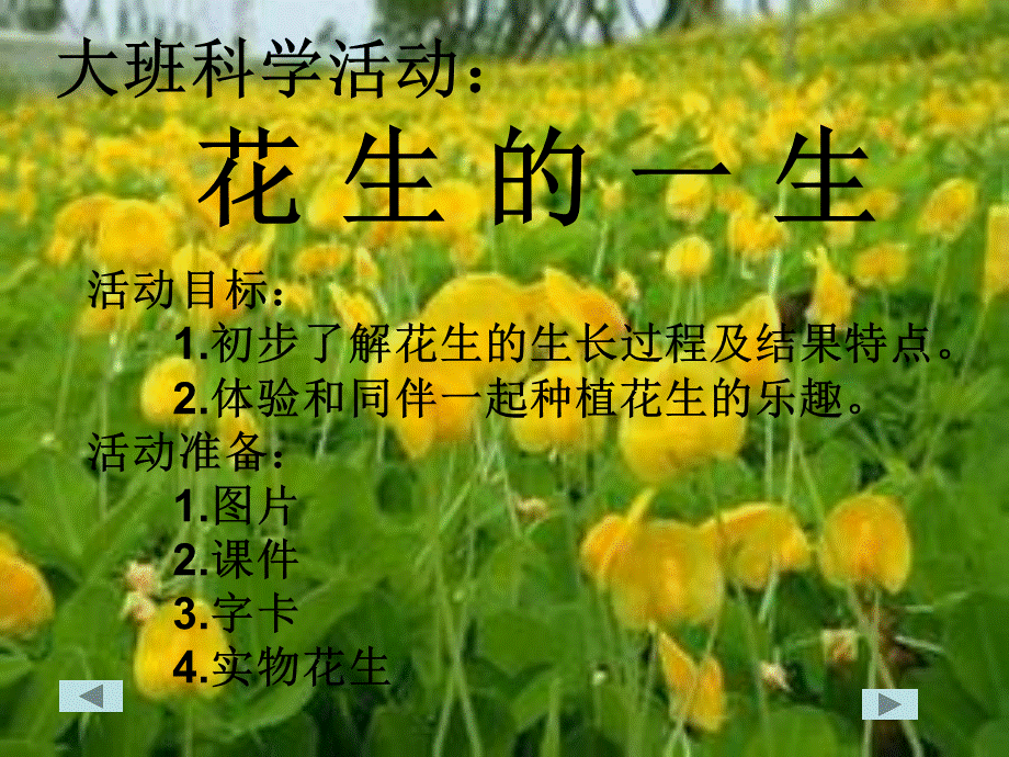 大班科学活动：.ppt_第1页