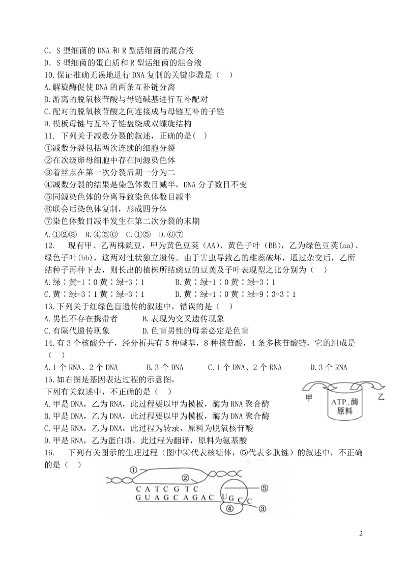 甘肃省天水一中10-11学年高一生物下学期第二次阶段性测试题（兰天班）新人教版【会员独享】.doc_第2页