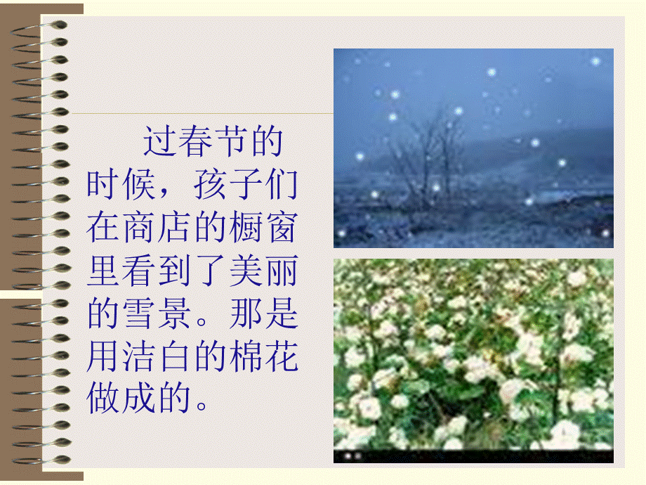 看雪课件.ppt_第2页