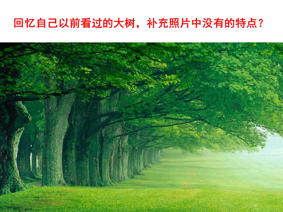 我看到了什么.ppt_第3页