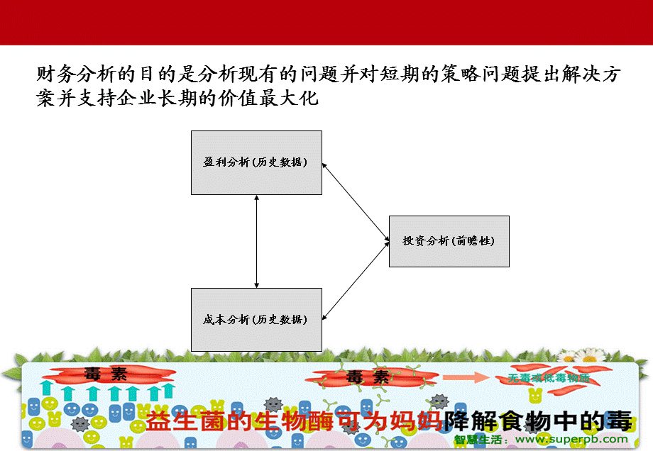 世界500强财务分析培训课件.ppt_第2页