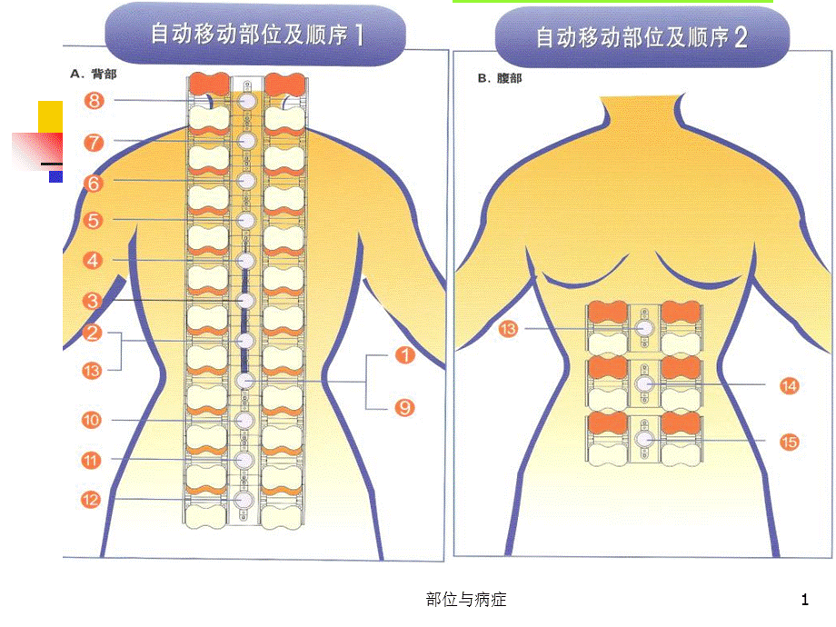 部位与病症课件.ppt_第1页