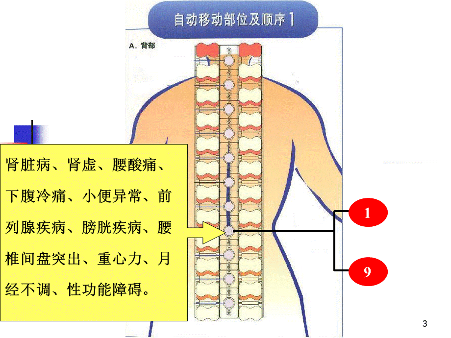 部位与病症课件.ppt_第3页