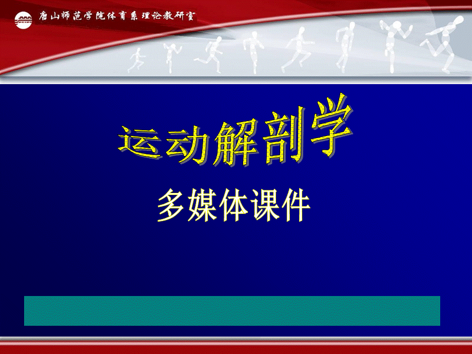 骨骼肌基础理论课件.ppt_第1页