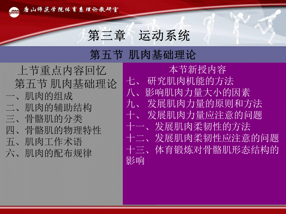 骨骼肌基础理论课件.ppt_第2页