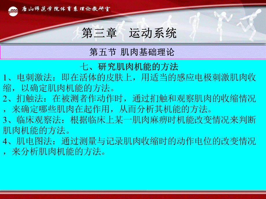 骨骼肌基础理论课件.ppt_第3页