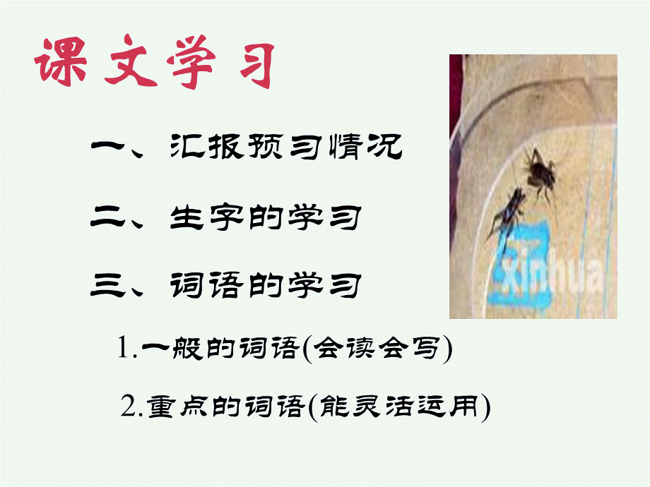 语文人教版四年级上册蟋蟀的住宅.1ppt.com.pptx_第3页