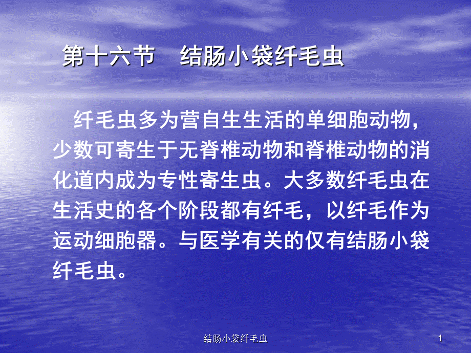 结肠小袋纤毛虫课件.ppt_第1页