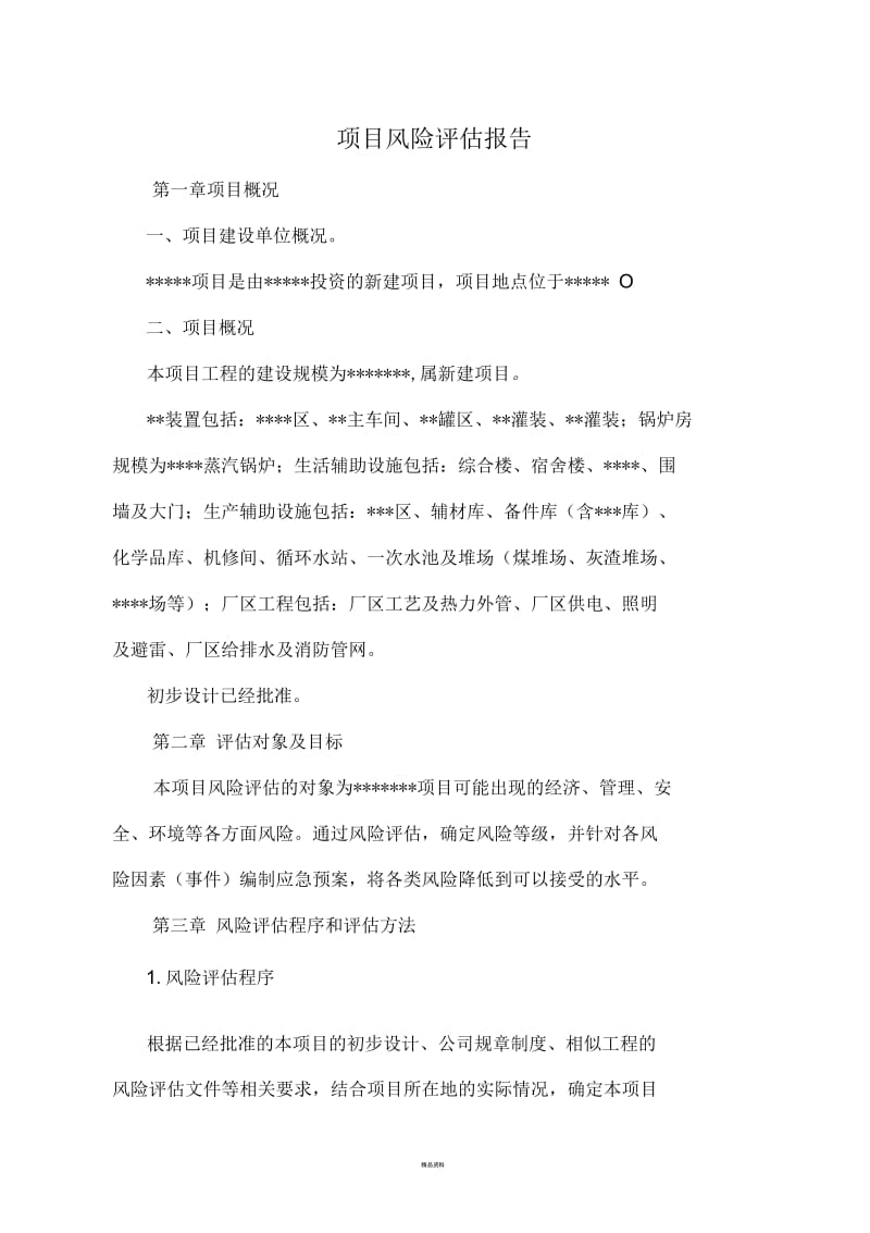 项目风险评估报告.docx_第1页