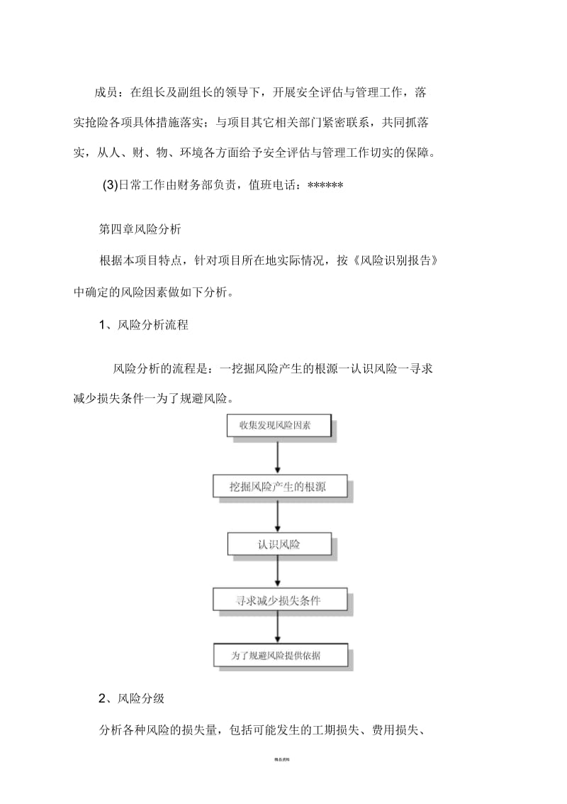 项目风险评估报告.docx_第3页