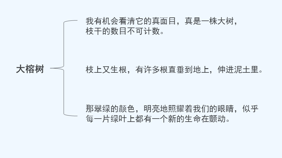 语文人教版四年级上册鸟的天堂课件.pptx_第2页