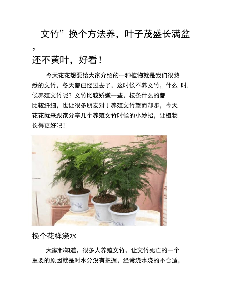 “文竹”换个方法养,叶子茂盛长满盆,还不黄叶,好看!-养花技巧.doc_第1页