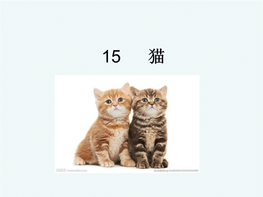 语文人教版四年级上册15猫 (6).ppt_第2页