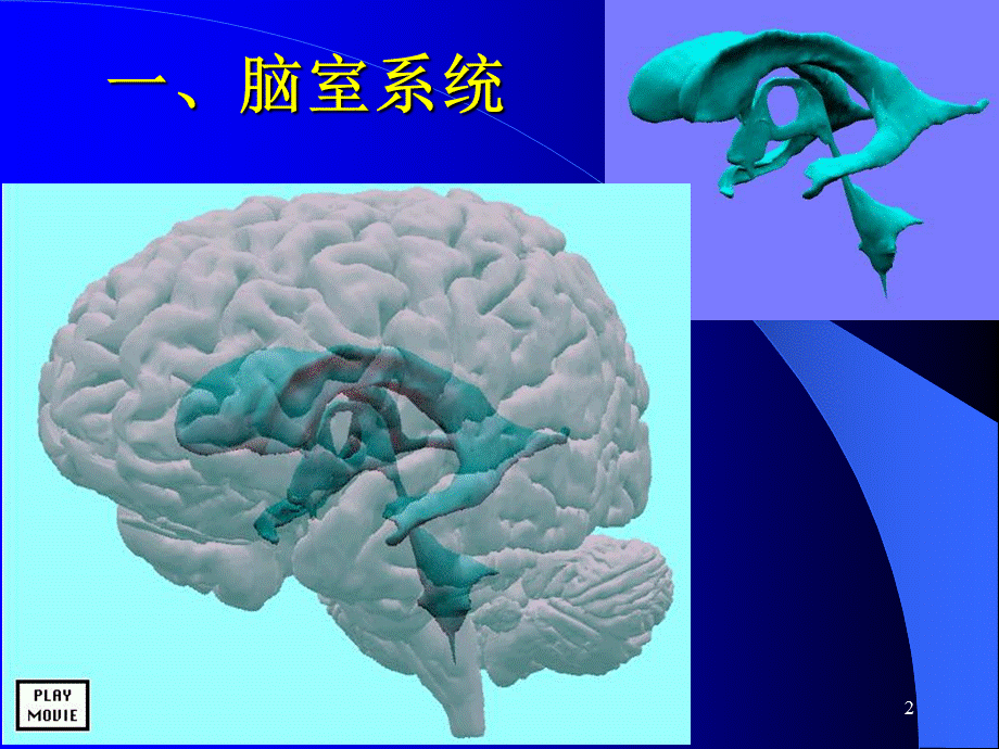 脑池的断面解剖课件.ppt_第2页