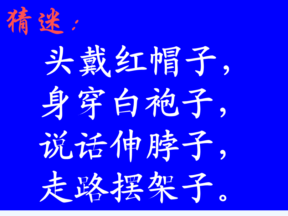 语文人教版四年级上册13、白鹅 (5).ppt_第1页