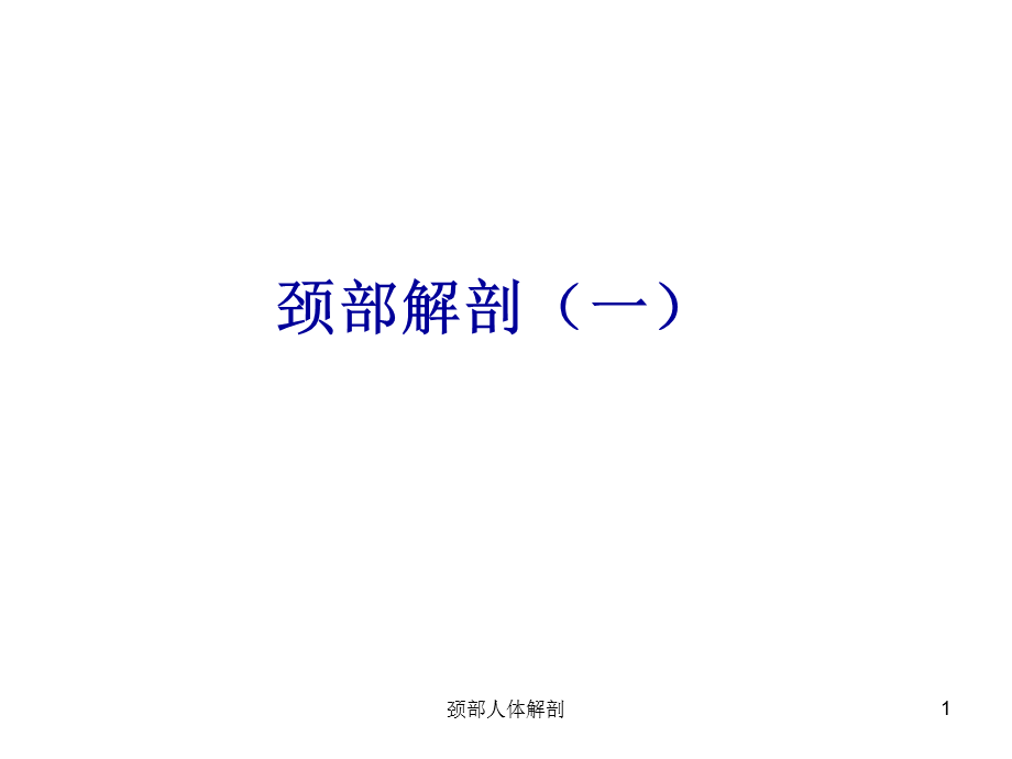 颈部人体解剖课件.ppt_第1页