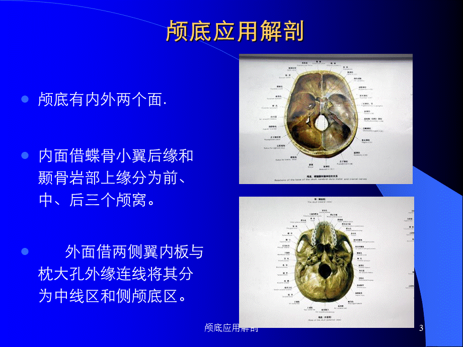 颅底应用解剖课件.ppt_第3页