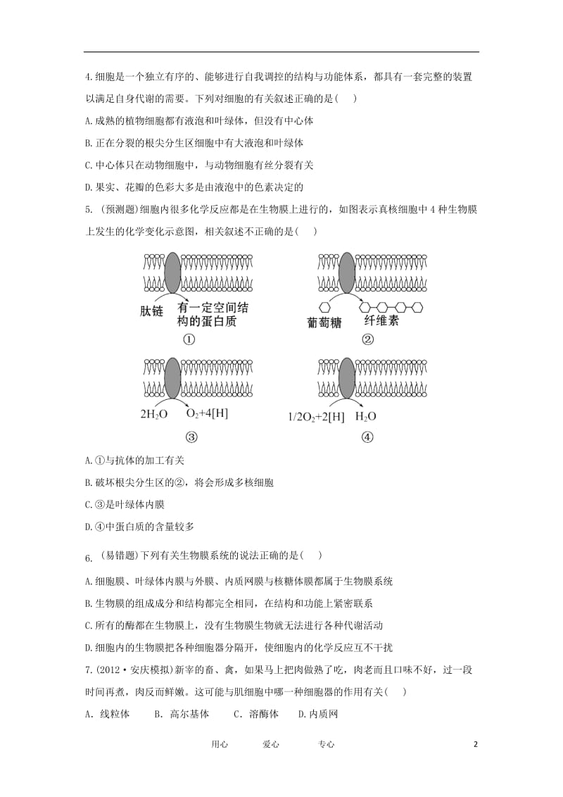 2013届高考生物一轮复习 细胞器--细胞内的分工合作课时提能训练 新人教版.doc_第2页