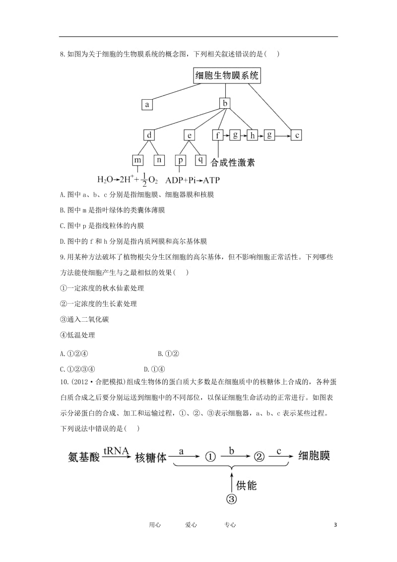 2013届高考生物一轮复习 细胞器--细胞内的分工合作课时提能训练 新人教版.doc_第3页