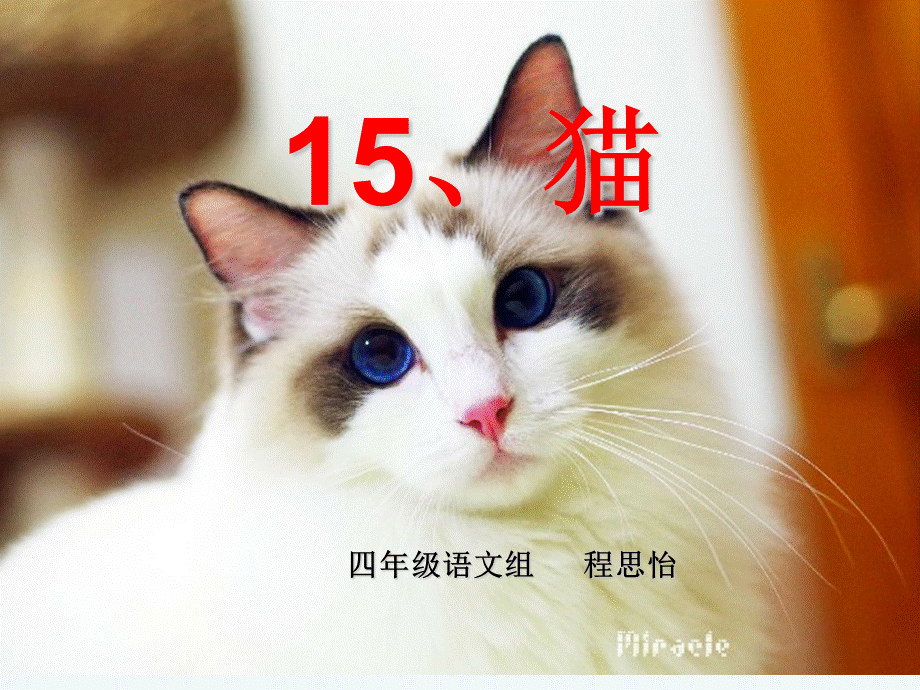 语文人教版四年级上册15、猫 (8).ppt_第1页