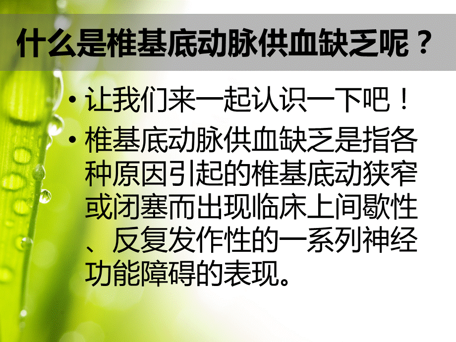 椎基底动脉供血不足PPT课件.pptx_第2页