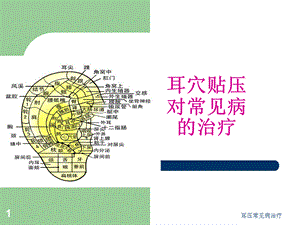 耳压常见病治疗课件.ppt