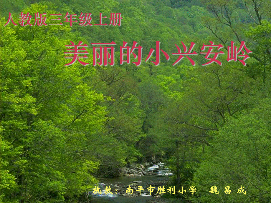 美丽的小兴安岭 (8).ppt_第1页