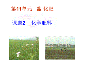 课题2化学肥料 (2).ppt