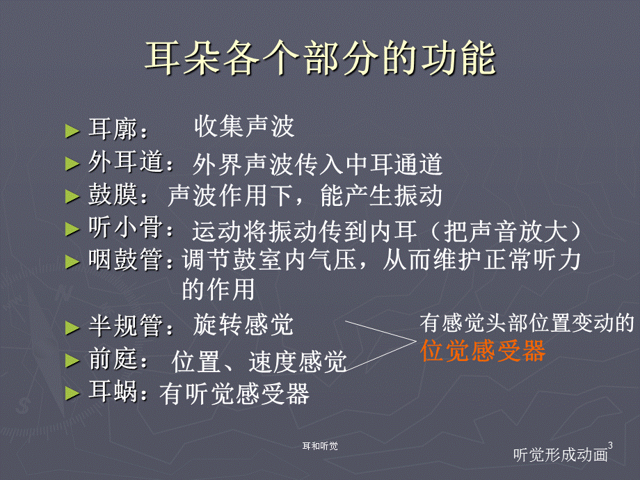 耳和听觉课件.ppt_第3页