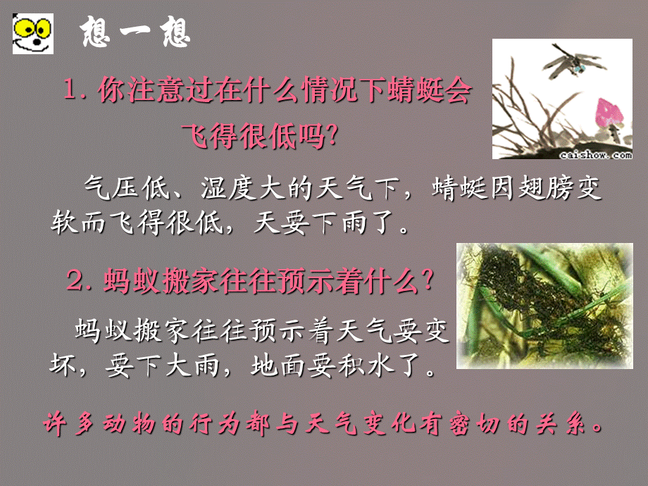 八上科学气温PPT课件02.ppt_第2页