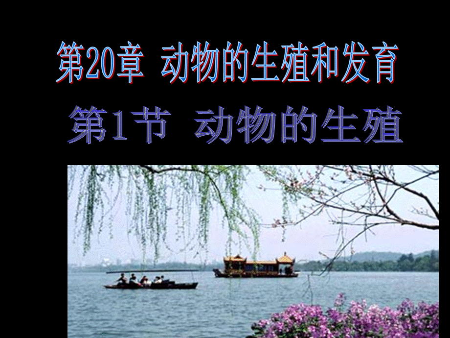 苏科版八年级生物201动物的生殖.ppt_第1页