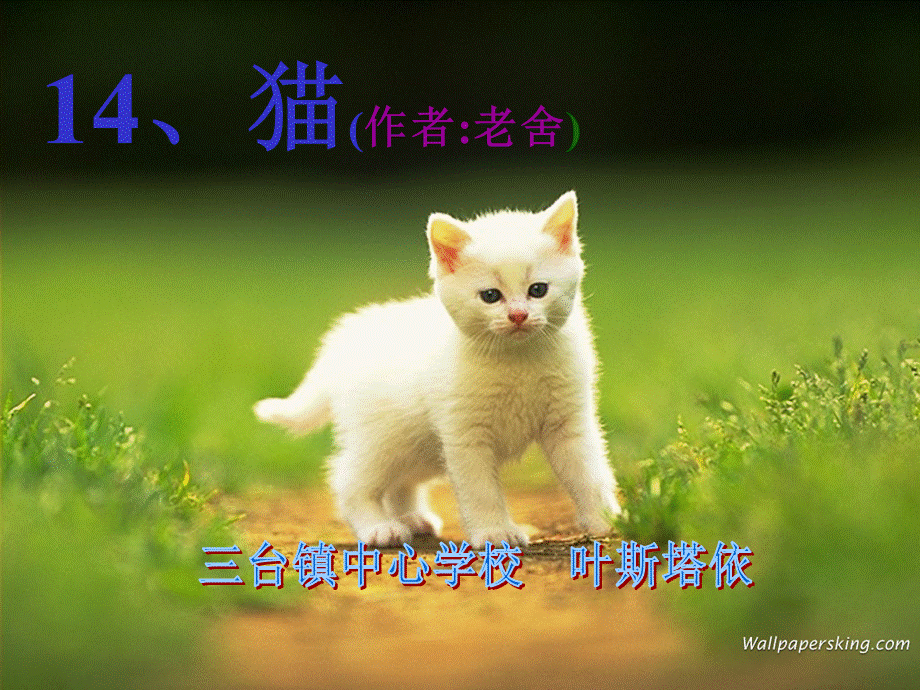 语文人教版四年级上册《15.猫》教学课件.ppt_第1页