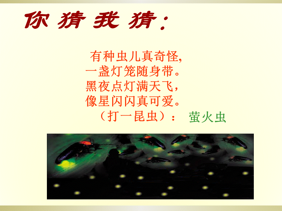 23《绿色蝈蝈》 (2).ppt_第2页