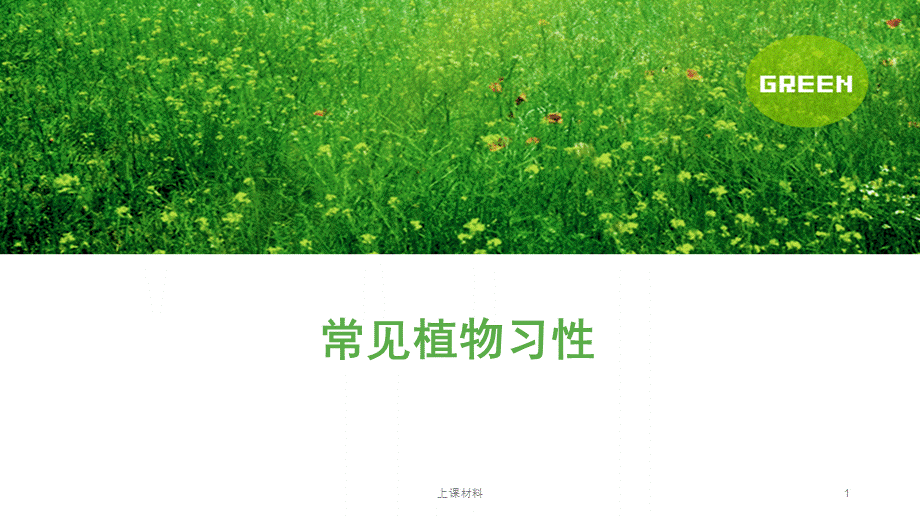 常见植物习性[上课教学].pptx_第1页