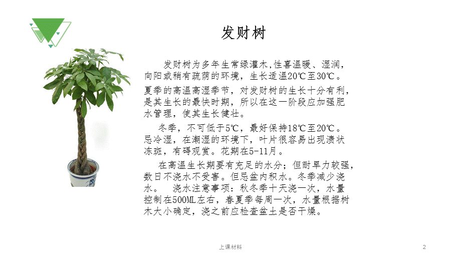 常见植物习性[上课教学].pptx_第2页