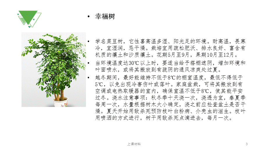 常见植物习性[上课教学].pptx_第3页